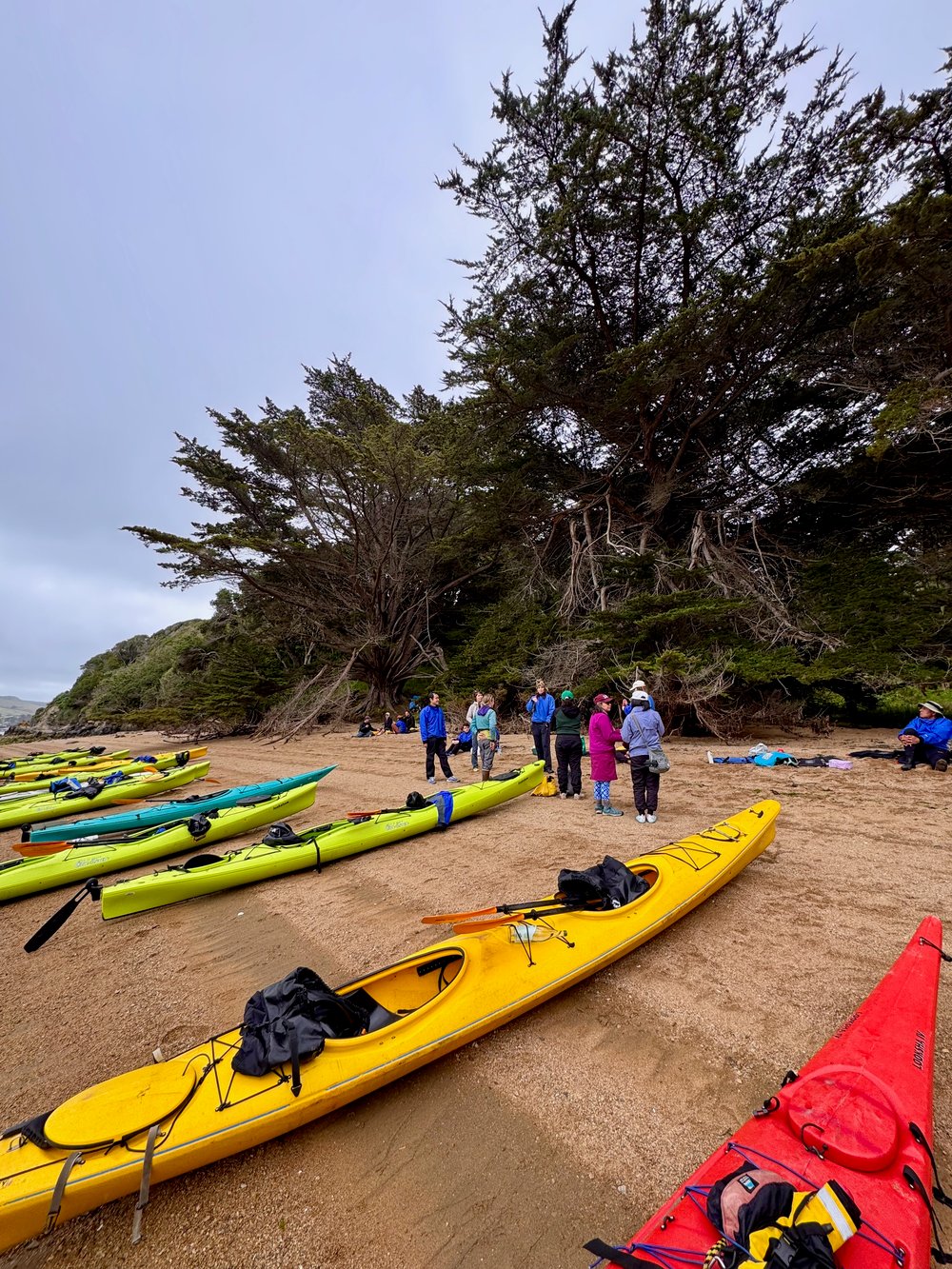 Tomales Bay Kayaking